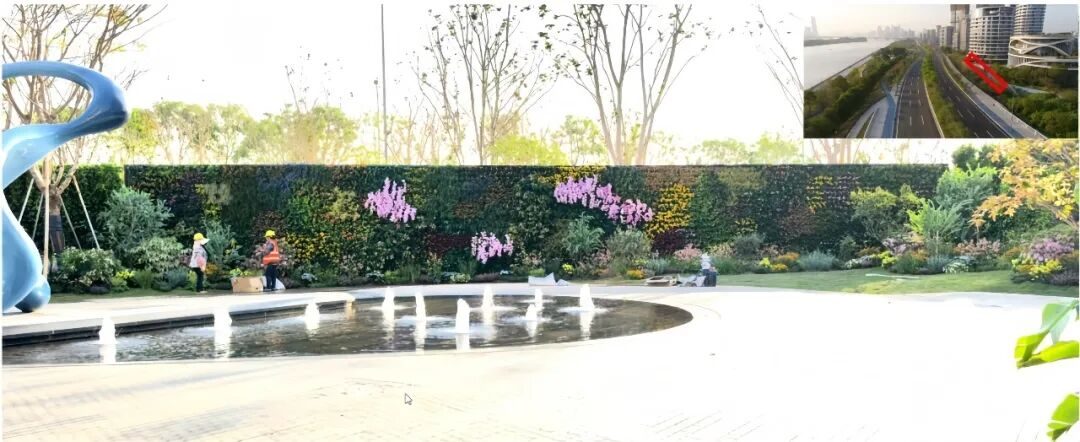 草木计划 MiniJungle® 项目实景