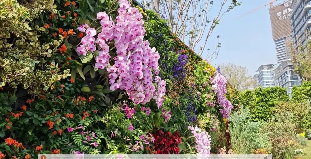 草木计划 MiniJungle® 项目实景