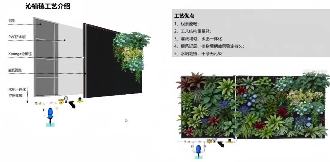 草木计划 MiniJungle® 项目实景