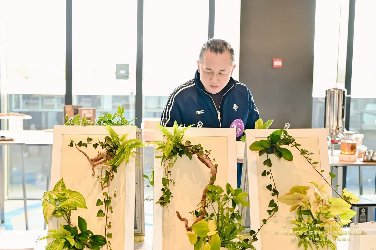 播种未来：华英外国语学校 STEM 绿植教育活动回顾