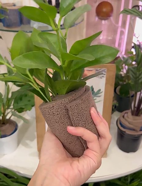 草木计划 MiniJungle® 项目实景