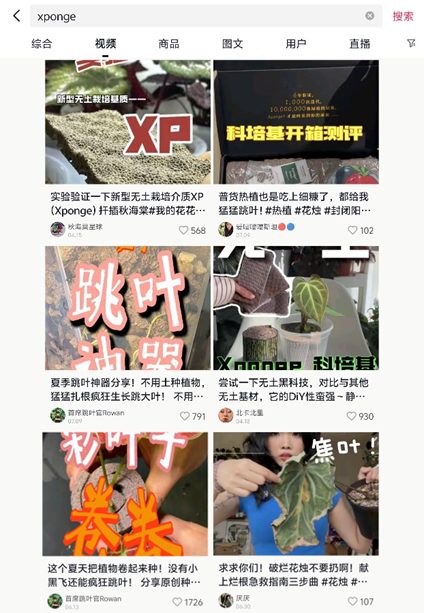 植物墙完全指南：从设计到施工，打造高品质垂直绿化空间