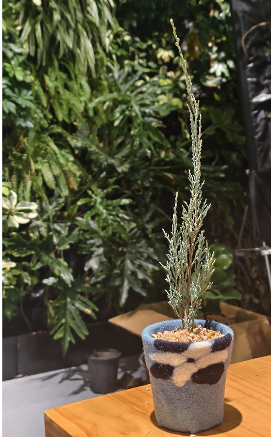 植物墙水肥一体化灌溉系统详解：如何实现自动化、精准化的植物养护