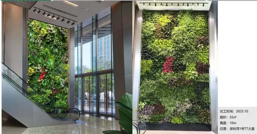 草木计划 MiniJungle® 项目实景