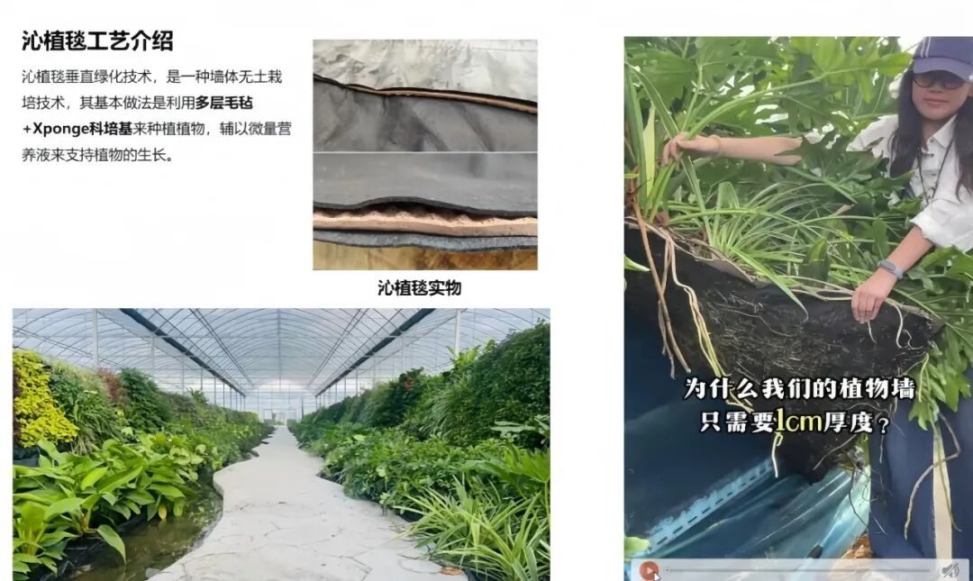 草木计划 MiniJungle® 项目实景