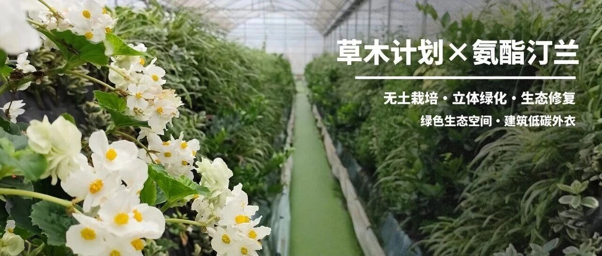 一墙绿植成画，顽石也能生花：海门融媒聚焦氨酯汀兰垂直绿化创新实践