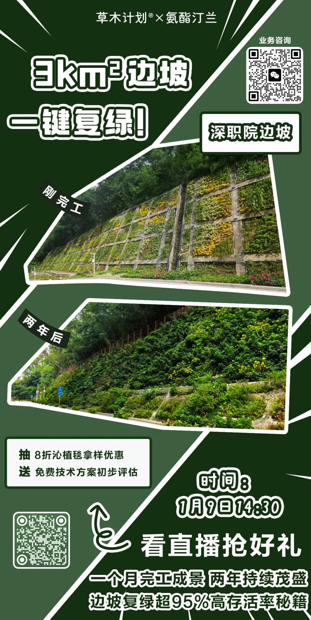 深职院边坡修复：Xponge®科培基实现95%存活率的护坡绿化实践