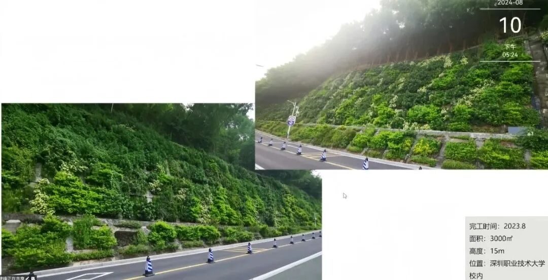 草木计划 MiniJungle® 项目实景