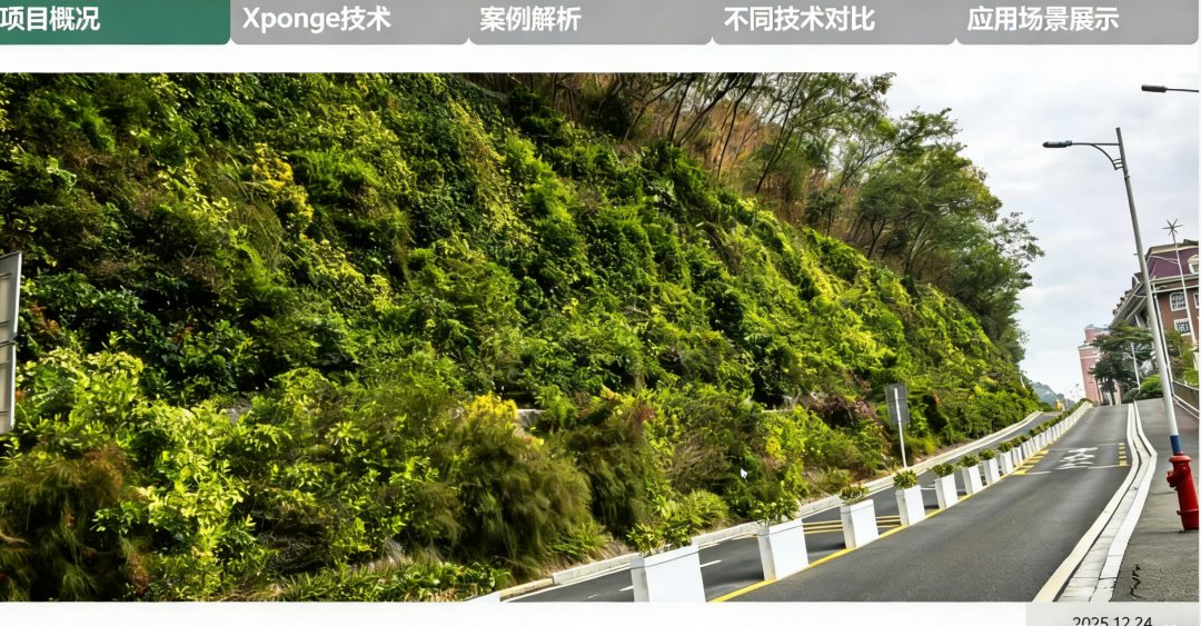 草木计划 MiniJungle® 项目实景