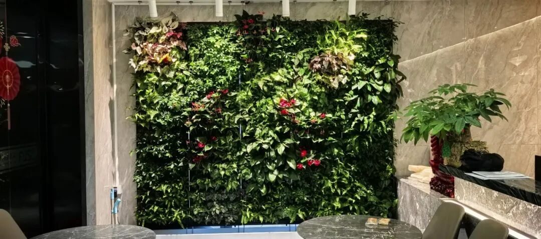 草木计划 MiniJungle® 项目实景