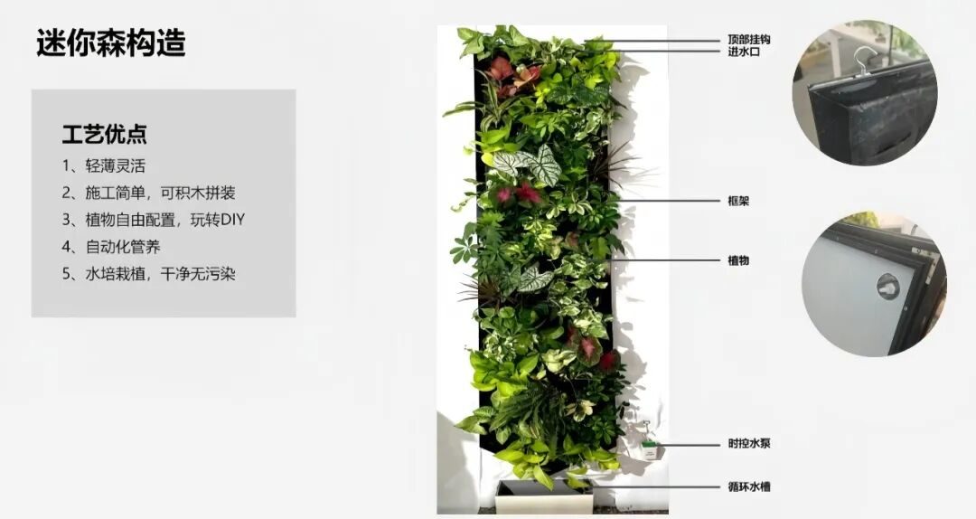 草木计划 MiniJungle® 项目实景